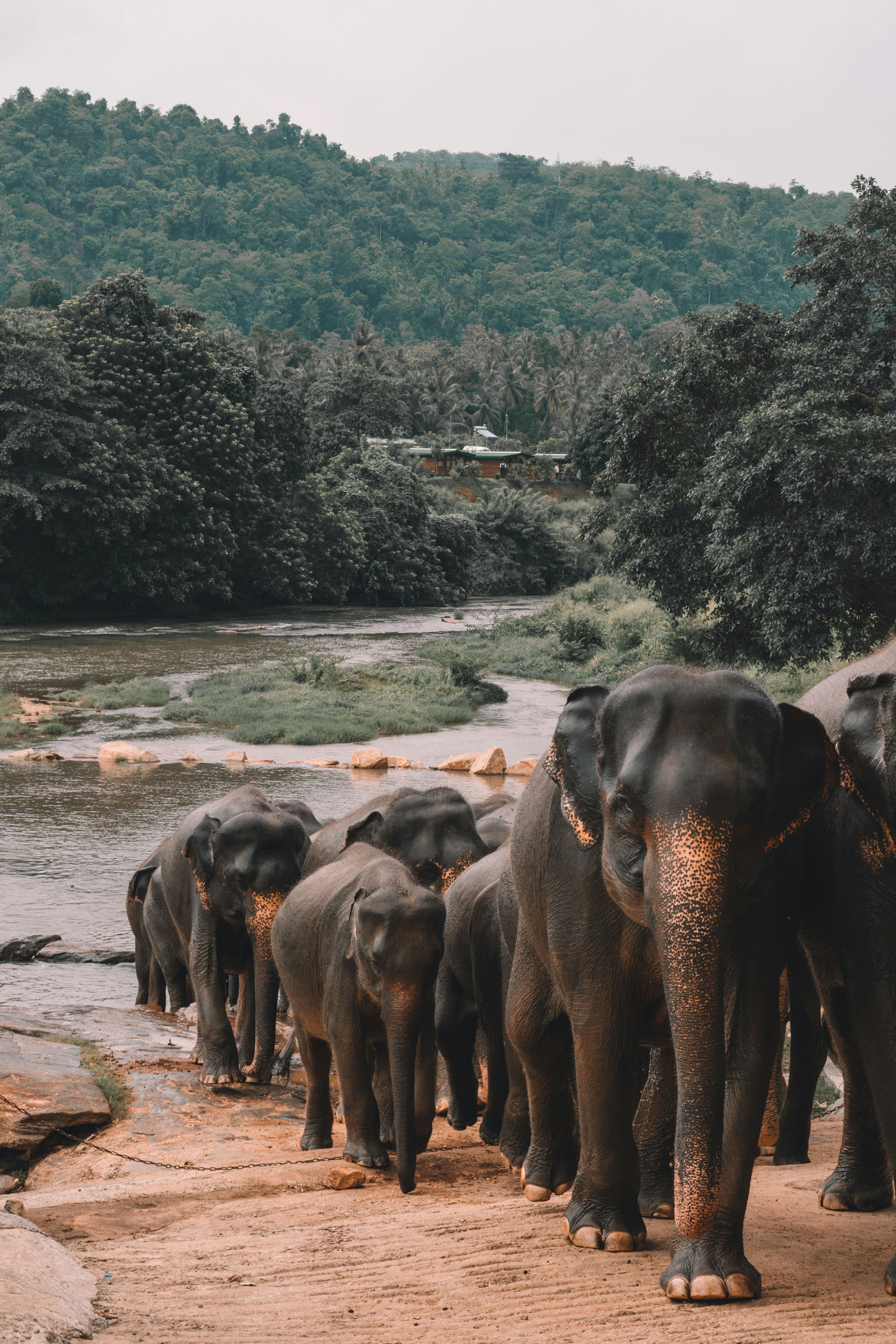 L'expertise SoGuide Sri Lanka