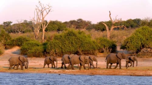 L'expertise SoGuide Botswana