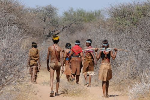 Découvrir Botswana