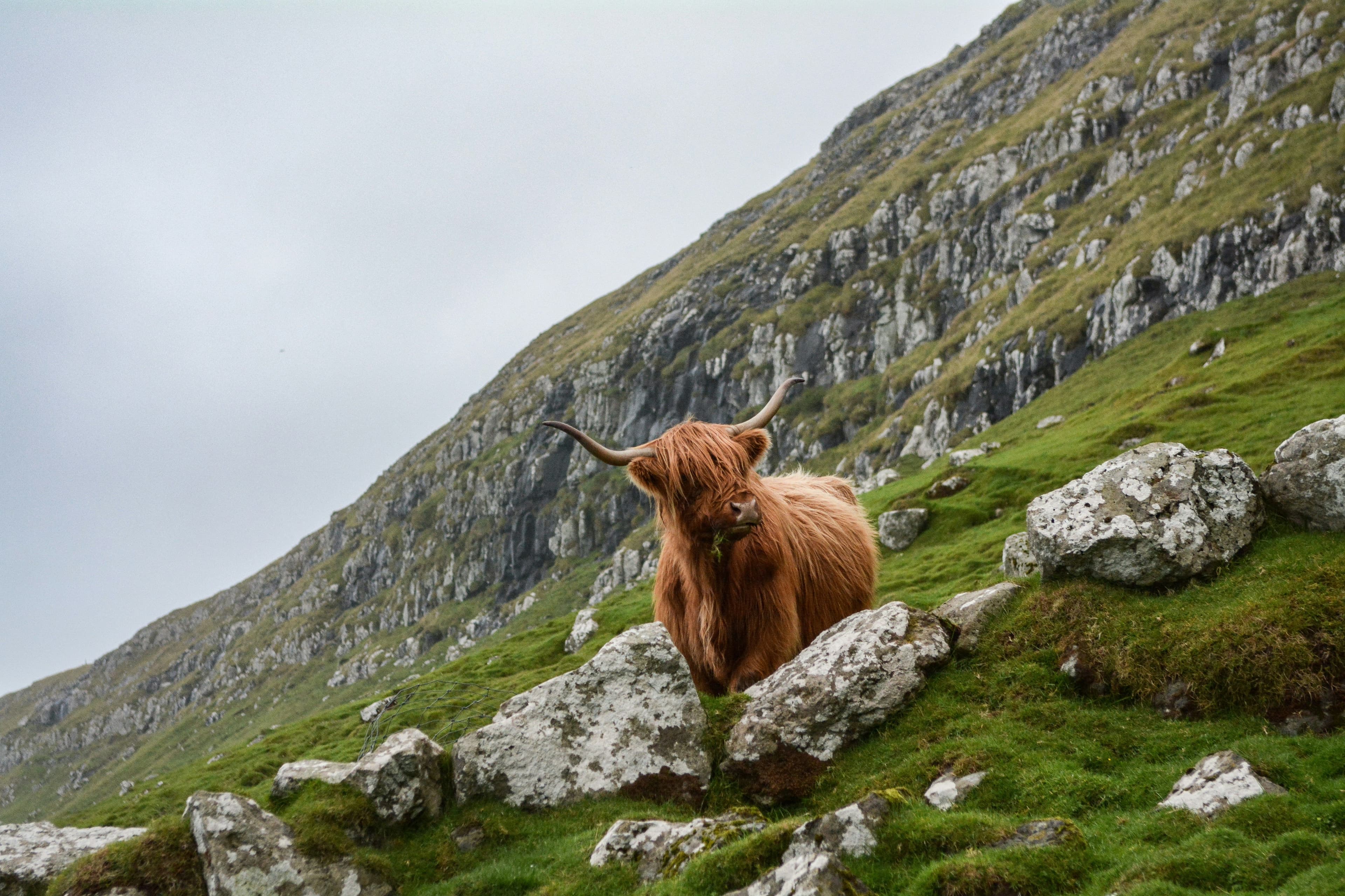 Découvrir Ecosse