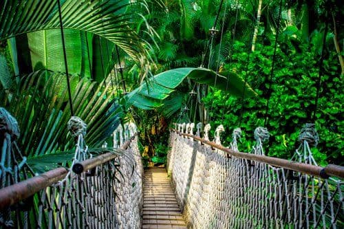 Discover Brazil