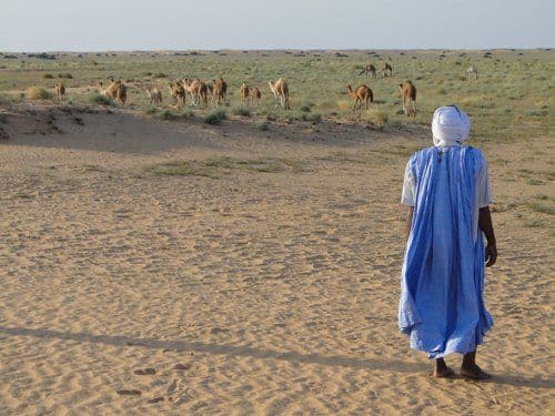 L'expertise SoGuide Mauritanie