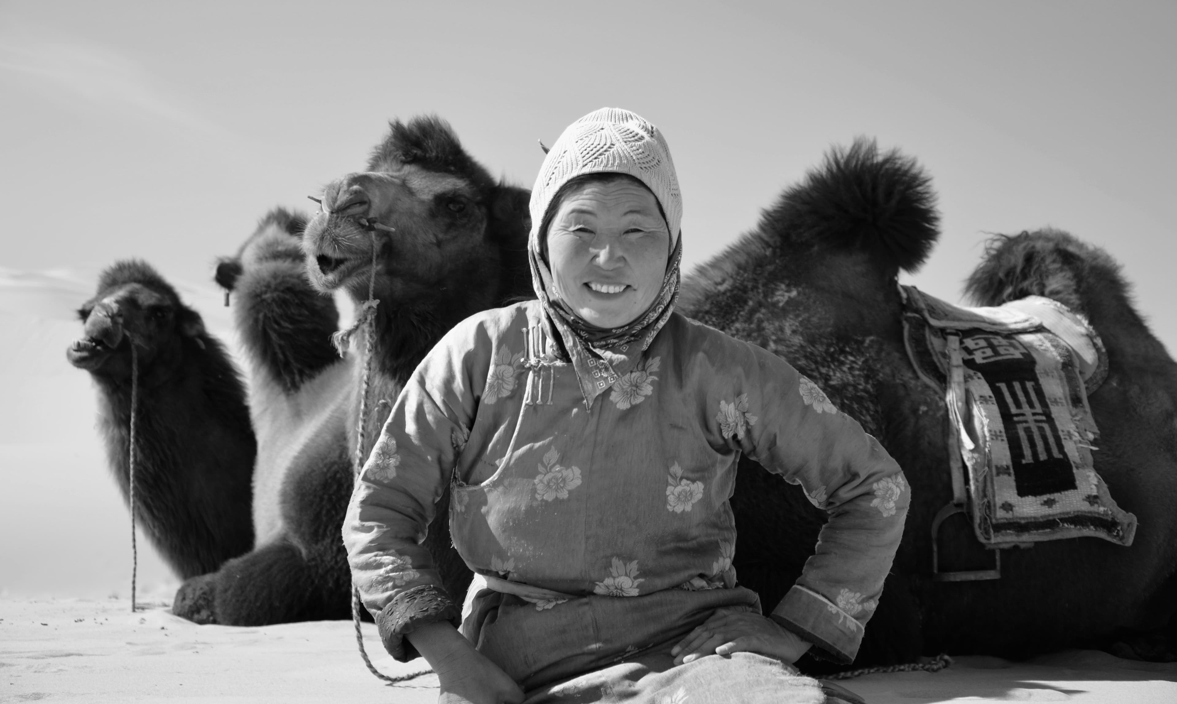 Découvrir Mongolie